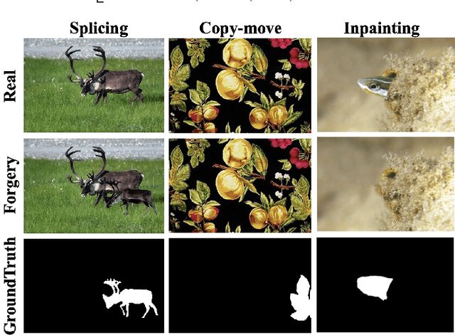Figure 1 for Pixel-Inconsistency Modeling for Image Manipulation Localization