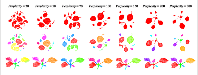 Figure 1 for Using t-distributed stochastic neighbor embedding for visualization and segmentation of 3D point clouds of plants