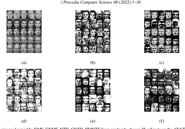 Figure 4 for Robust Manifold Nonnegative Tucker Factorization for Tensor Data Representation