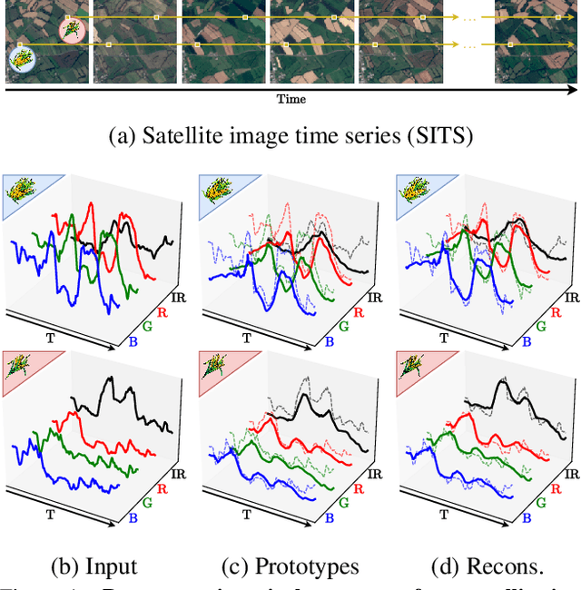 Figure 1 for Pixel-wise Agricultural Image Time Series Classification: Comparisons and a Deformable Prototype-based Approach
