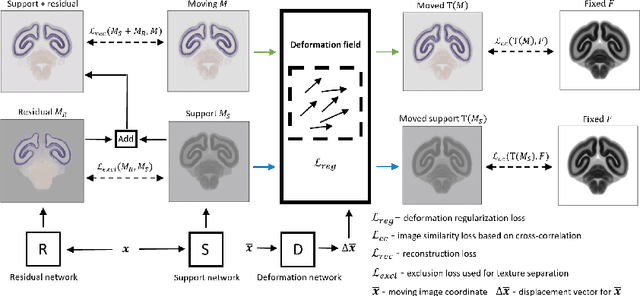 Figure 1 for Implicit neural representations for joint decomposition and registration of gene expression images in the marmoset brain