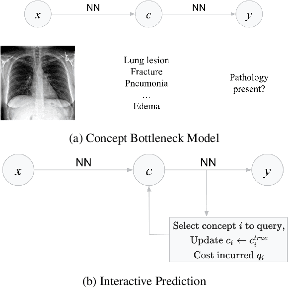 Figure 1 for Interactive Concept Bottleneck Models