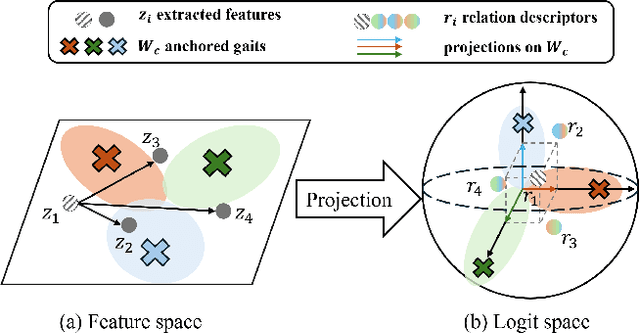 Figure 1 for Free Lunch for Gait Recognition: A Novel Relation Descriptor