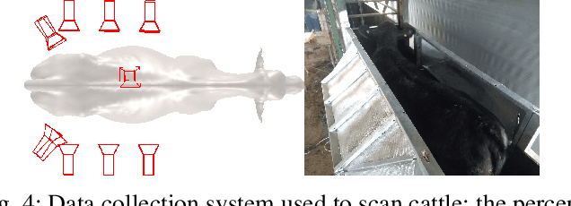 Figure 4 for Semantic keypoint extraction for scanned animals using multi-depth-camera systems