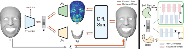 Figure 3 for Implicit Neural Representation for Physics-driven Actuated Soft Bodies