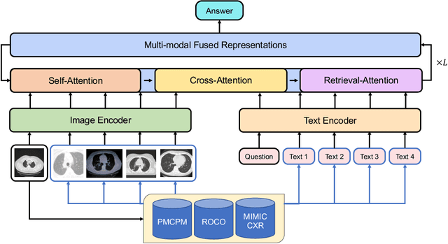 Figure 3 for RAMM: Retrieval-augmented Biomedical Visual Question Answering with Multi-modal Pre-training