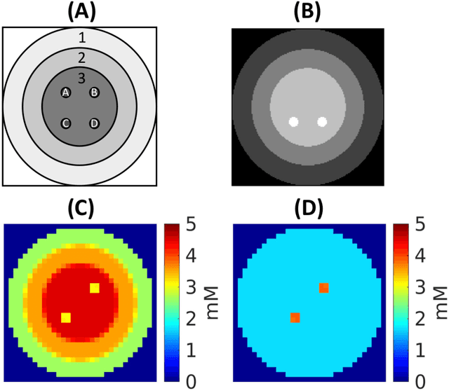 Figure 3 for A Deep Learning Method for Sensitivity Enhancement of Deuterium Metabolic Imaging (DMI)