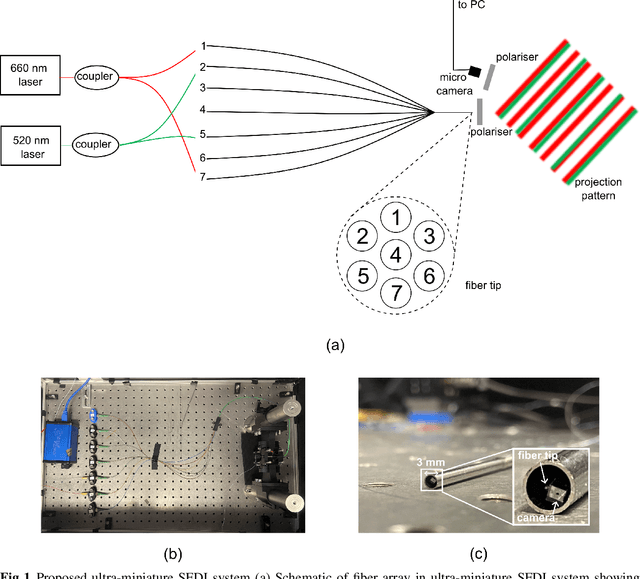 Figure 1 for Ultra-miniature dual-wavelength spatial frequency domain imaging for micro-endoscopy