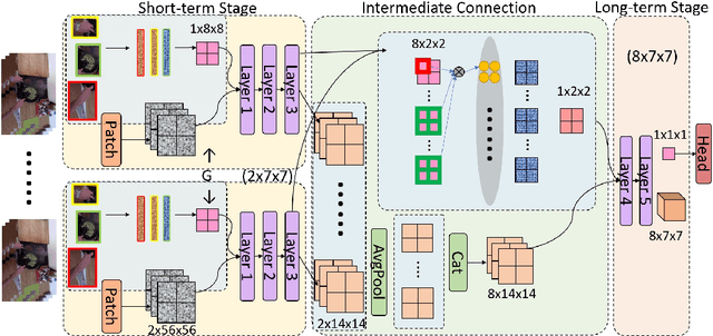 Figure 2 for EgoViT: Pyramid Video Transformer for Egocentric Action Recognition