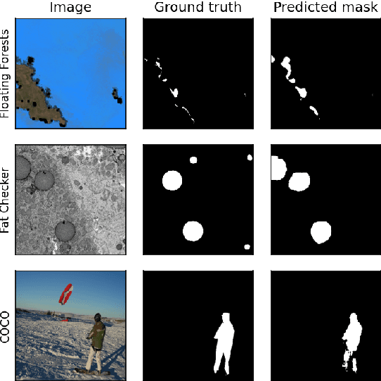 Figure 2 for From fat droplets to floating forests: cross-domain transfer learning using a PatchGAN-based segmentation model