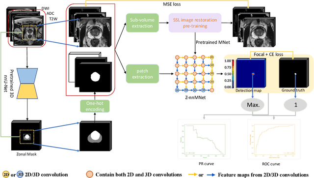 Figure 1 for Z-SSMNet: A Zonal-aware Self-Supervised Mesh Network for Prostate Cancer Detection and Diagnosis in bpMRI