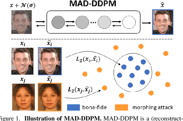 Figure 1 for Face Morphing Attack Detection with Denoising Diffusion Probabilistic Models