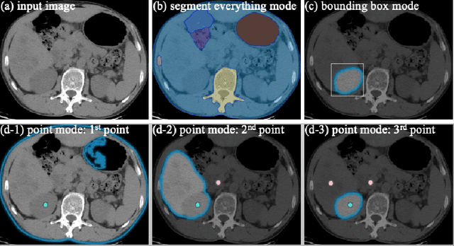 Figure 3 for Segment Anything in Medical Images