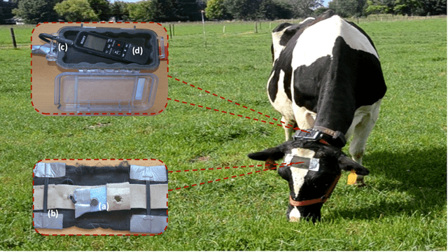 Figure 3 for A noise-robust acoustic method for recognition of foraging activities of grazing cattle