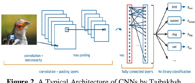 Figure 2 for Development of a Prototype Application for Rice Disease Detection Using Convolutional Neural Networks