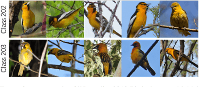 Figure 3 for Structural Similarity: When to Use Deep Generative Models on Imbalanced Image Dataset Augmentation