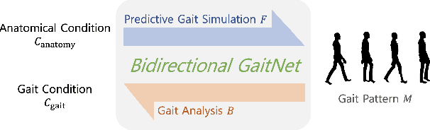 Figure 1 for Bidirectional GaitNet: A Bidirectional Prediction Model of Human Gait and Anatomical Conditions