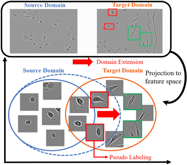 Figure 1 for Effective Pseudo-Labeling based on Heatmap for Unsupervised Domain Adaptation in Cell Detection