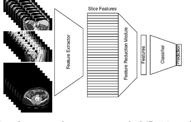 Figure 1 for Explainable 2D Vision Models for 3D Medical Data
