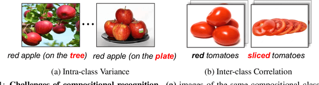 Figure 1 for Prompting Language-Informed Distribution for Compositional Zero-Shot Learning