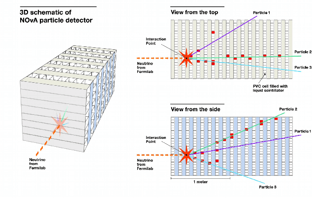 Figure 1 for Interpretable Joint Event-Particle Reconstruction for Neutrino Physics at NOvA with Sparse CNNs and Transformers