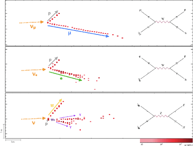 Figure 3 for Interpretable Joint Event-Particle Reconstruction for Neutrino Physics at NOvA with Sparse CNNs and Transformers