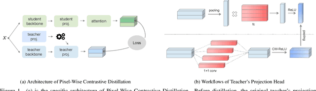 Figure 1 for Pixel-Wise Contrastive Distillation