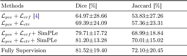 Figure 2 for SimPLe: Similarity-Aware Propagation Learning for Weakly-Supervised Breast Cancer Segmentation in DCE-MRI