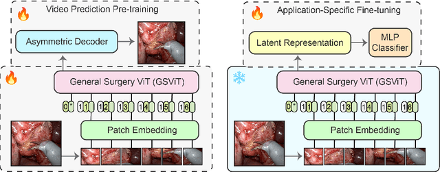 Figure 1 for General surgery vision transformer: A video pre-trained foundation model for general surgery