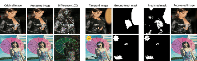 Figure 1 for Learning to Immunize Images for Tamper Localization and Self-Recovery