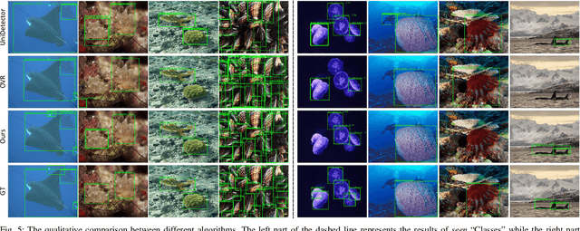 Figure 4 for MarineDet: Towards Open-Marine Object Detection