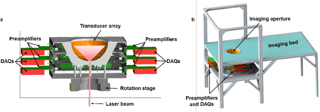 Figure 1 for Single-shot 3D photoacoustic computed tomography with a densely packed array for transcranial functional imaging