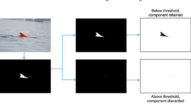 Figure 4 for Towards Automatic Cetacean Photo-Identification: A Framework for Fine-Grain, Few-Shot Learning in Marine Ecology