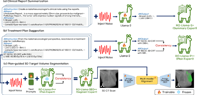 Figure 2 for RO-LLaMA: Generalist LLM for Radiation Oncology via Noise Augmentation and Consistency Regularization