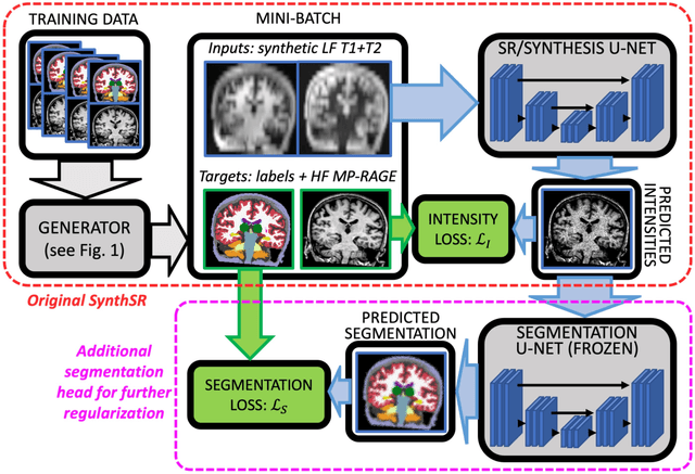 Figure 3 for Accurate super-resolution low-field brain MRI