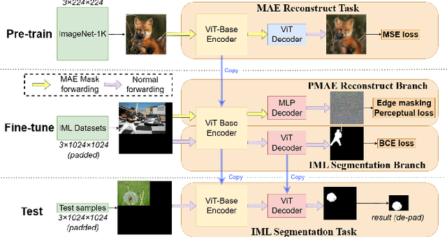 Figure 2 for Perceptual MAE for Image Manipulation Localization: A High-level Vision Learner Focusing on Low-level Features