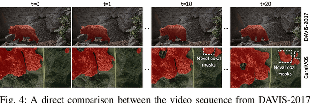 Figure 3 for CoralVOS: Dataset and Benchmark for Coral Video Segmentation