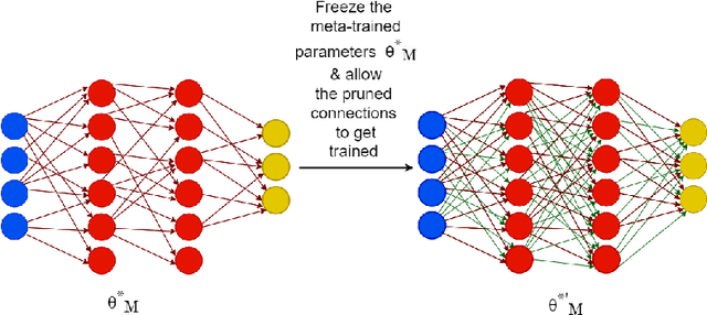 Figure 3 for Learning to Learn with Indispensable Connections