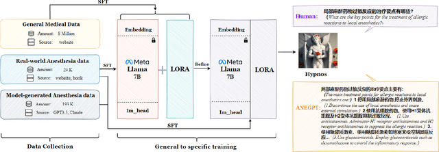 Figure 1 for Towards Training A Chinese Large Language Model for Anesthesiology
