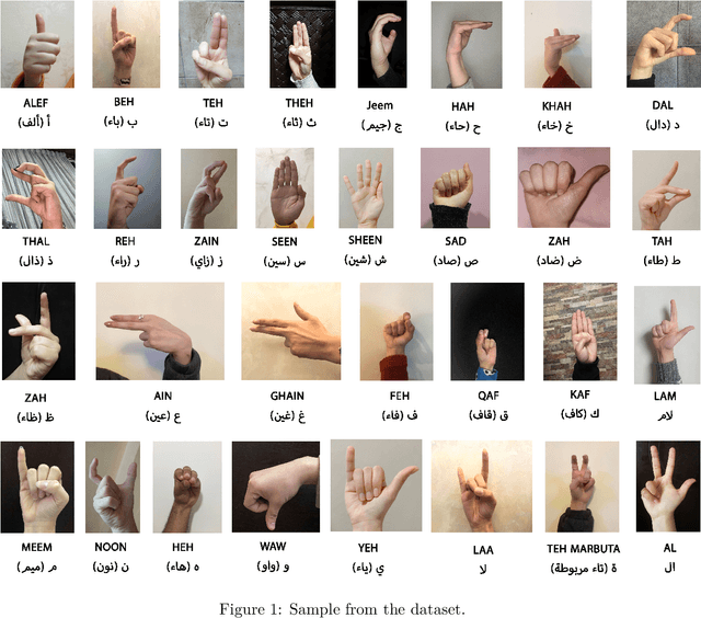 Figure 1 for RGB Arabic Alphabets Sign Language Dataset