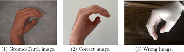 Figure 3 for RGB Arabic Alphabets Sign Language Dataset