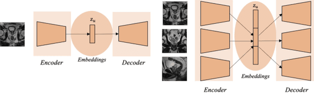 Figure 1 for Out-of-distribution multi-view auto-encoders for prostate cancer lesion detection