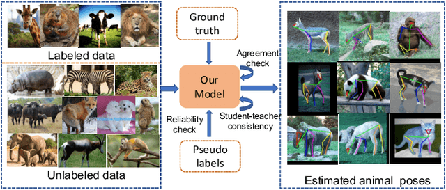 Figure 1 for ScarceNet: Animal Pose Estimation with Scarce Annotations