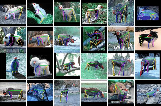Figure 3 for ScarceNet: Animal Pose Estimation with Scarce Annotations