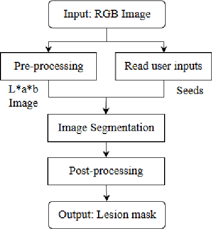 Figure 1 for Beyond Visual Image: Automated Diagnosis of Pigmented Skin Lesions Combining Clinical Image Features with Patient Data