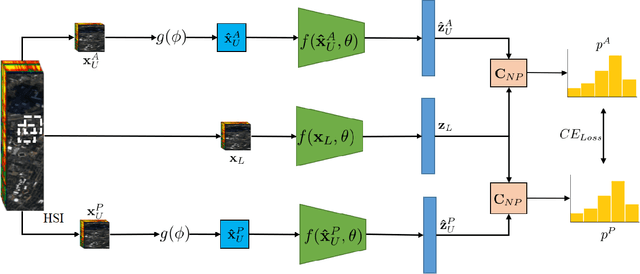 Figure 1 for Semi-Supervised Learning for hyperspectral images by non parametrically predicting view assignment