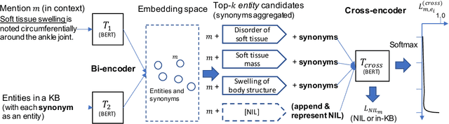 Figure 1 for Reveal the Unknown: Out-of-Knowledge-Base Mention Discovery with Entity Linking