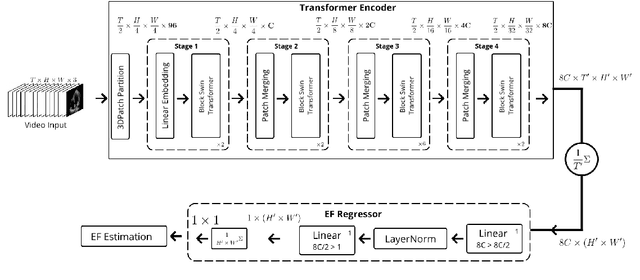 Figure 1 for Hierarchical Vision Transformers for Cardiac Ejection Fraction Estimation