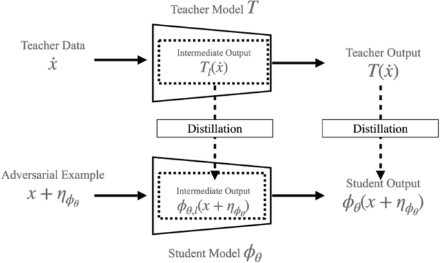 Figure 1 for ARDIR: Improving Robustness using Knowledge Distillation of Internal Representation