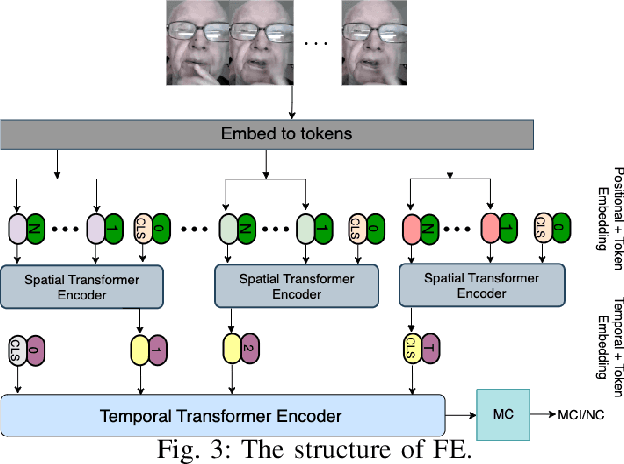 Figure 3 for MC-ViViT: Multi-branch Classifier-ViViT to Detect Mild Cognitive Impairment in Older Adults using Facial Videos